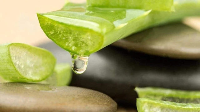 bai-viet/tri-tham-mat-bang-gel-nha-dam-va-baby-oil-63103.html