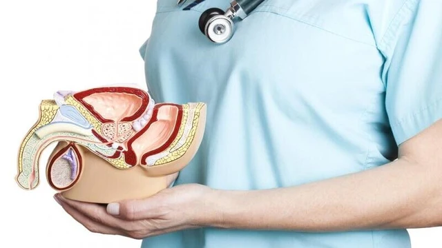 bai-viet/triet-san-nam-co-anh-huong-gi-khong.html