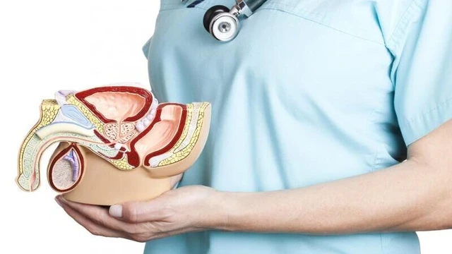 bai-viet/triet-san-nam-la-gi-nhung-thong-tin-can-biet-ve-triet-san-o-nam-gioi.html