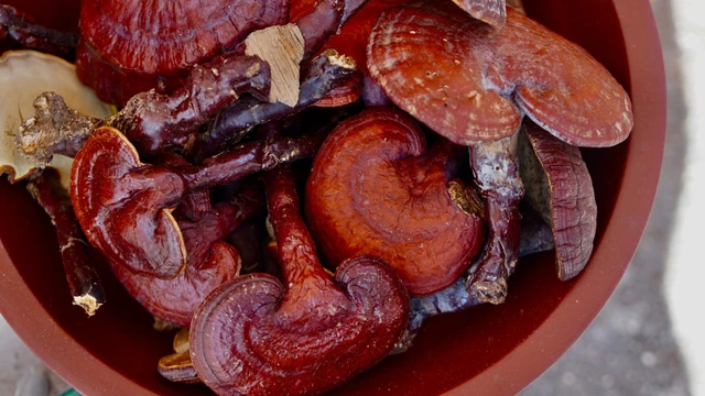 bai-viet/trong-nam-lim-xanh-khong-kho-voi-nhung-buoc-sau.html