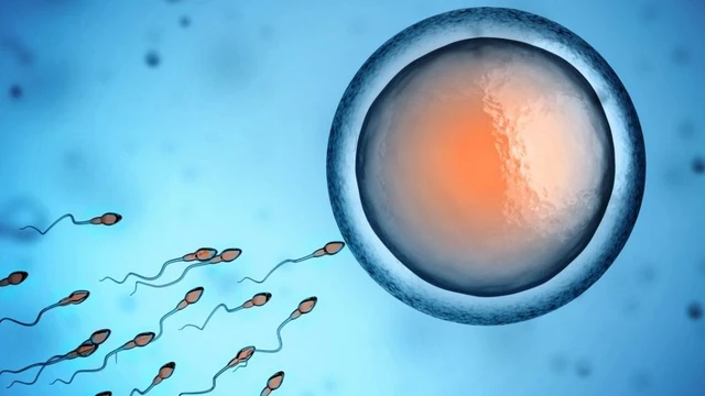 bai-viet/nguyen-nhan-gay-trung-lep-va-cach-dieu-tri-hieu-qua.html