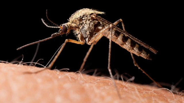 bai-viet/giai-dap-thac-mac-tuoi-tho-cua-muoi-la-bao-nhieu.html