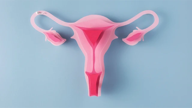 bai-viet/u-nang-buong-trung-co-nguy-hiem-khong-phuong-phap-phong-ngua-benh.html