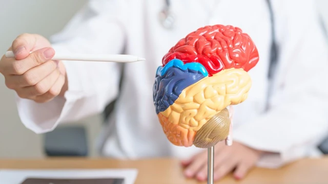 bai-viet/u-nao-lanh-tinh-song-duoc-bao-lau-phong-benh-ra-sao.html