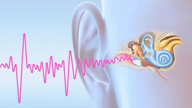 bai-viet/u-tai-can-nguyen-mach-la-gi-va-co-nguy-hiem-khong-53346.html