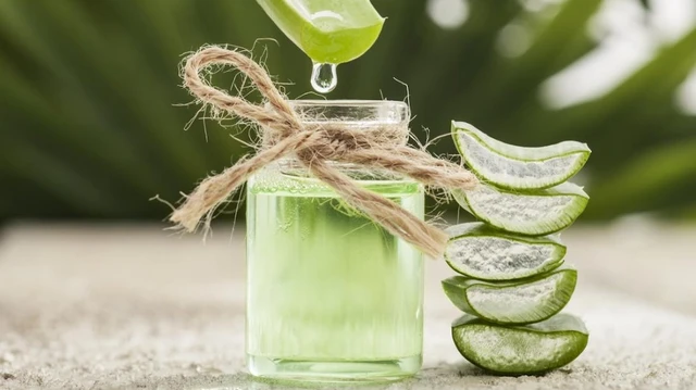 bai-viet/goi-y-5-cach-u-toc-bang-gel-nha-dam-de-cho-mai-toc-dep-bong-benh.html