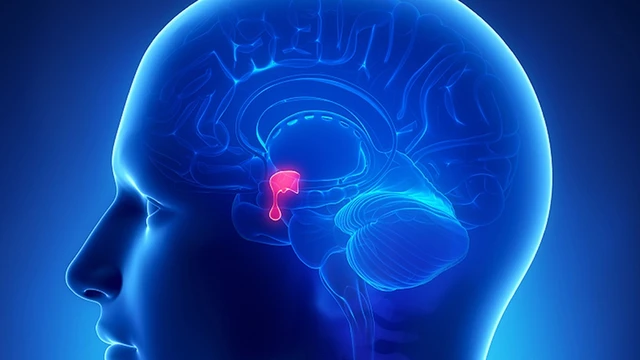 bai-viet/u-tuyen-yen-tang-tiet-prolactin-la-gi-va-cach-dieu-tri-hieu-qua.html