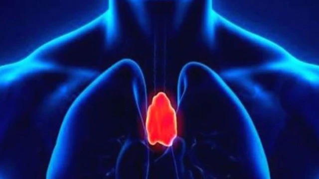 bai-viet/u-xuong-uc-dau-hieu-nhan-biet-cach-chan-doan-va-dieu-tri-u-xuong-uc-pho-bien.html