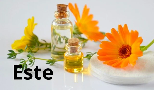 bai-viet/ung-dung-va-tinh-chat-cua-este-trong-cong-nghiep-este-co-doc-khong.html