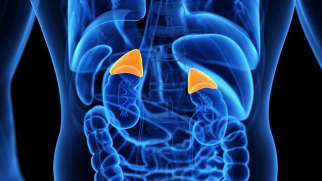 bai-viet/ung-thu-phoi-di-can-tuyen-thuong-than-va-phuong-phap-chua-benh-51542.html