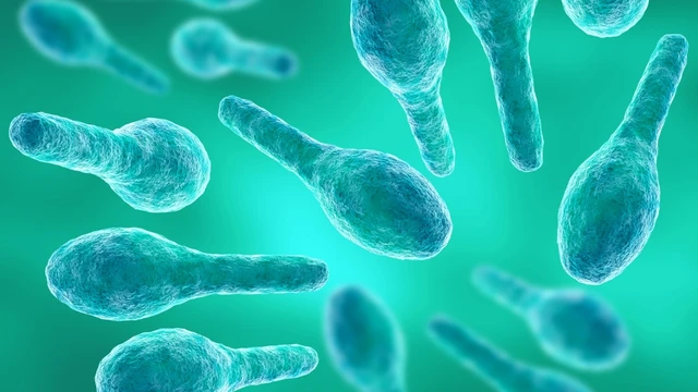 bai-viet/uon-van-nguy-hiem-nhu-the-nao-8-bien-chung-co-the-gay-tu-vong.html