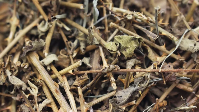 bai-viet/uong-ca-gai-leo-co-dep-da-khong-su-that-ban-nen-biet.html