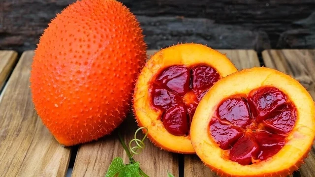 bai-viet/uong-dau-gac-trong-bao-lau-thi-hap-thu-du-duong-chat-61915.html