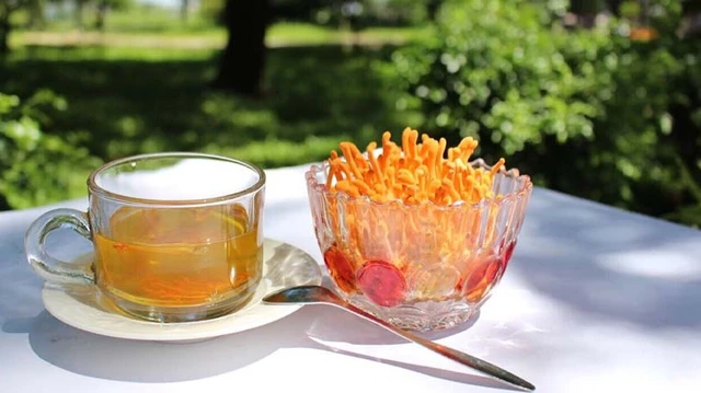 bai-viet/uong-dong-trung-ha-thao-vao-luc-nao-tot-nhat.html