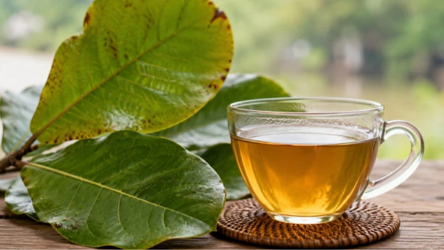 bai-viet/uong-nuoc-la-bang-co-tac-dung-gi-luu-y-khi-su-dung.html