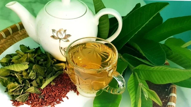bai-viet/uong-nuoc-la-oi-bao-lau-thi-giam-can-va-cach-dung-hieu-qua.html