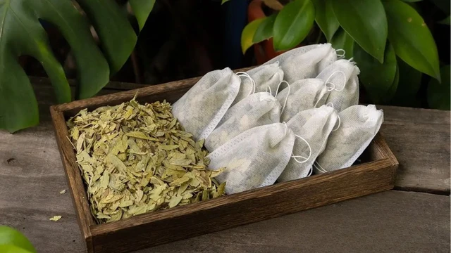 bai-viet/uong-phan-ta-diep-nhieu-co-hai-khong-nhung-tac-dung-phu-can-biet.html