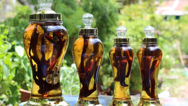 bai-viet/uong-ruou-thuoc-moi-ngay-co-tot-khong-tac-hai-khi-su-dung-ruou-thuoc-sai-cach.html