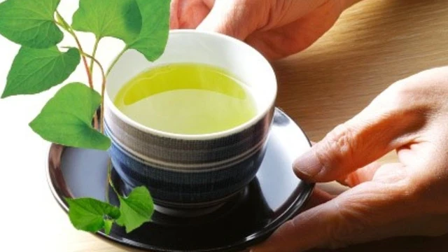 bai-viet/uong-tra-diep-ca-co-tac-dung-gi-uong-tra-diep-ca-nhu-the-nao-cho-hieu-qua.html