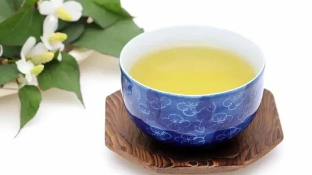 bai-viet/uong-tra-diep-ca-va-nhung-loi-ich-ai-cung-nen-biet.html