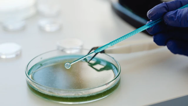 Vi khuẩn ăn khối u ung thư đã ra đời, mở ra hướng điều trị mới