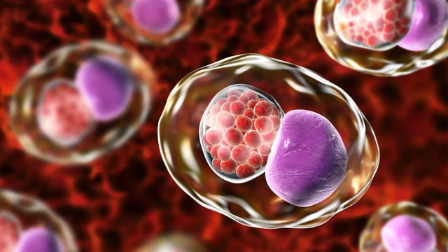 bai-viet/vi-khuan-chlamydia-gay-benh-gi-i-khuan-chlamydia-co-nguy-hiem-khong.html