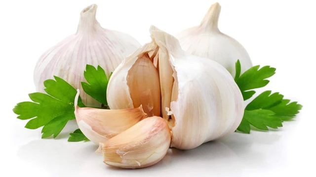 bai-viet/vi-sao-an-toi-hoi-mieng-cach-loai-bo-mui-toi-nhanh-chong.html