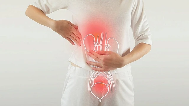 bai-viet/vi-tri-va-cau-tao-cua-bang-quang.html