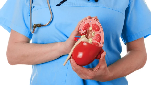 bai-viet/viem-cau-than-co-di-truyen-khong-va-nhung-dieu-ban-can-biet.html