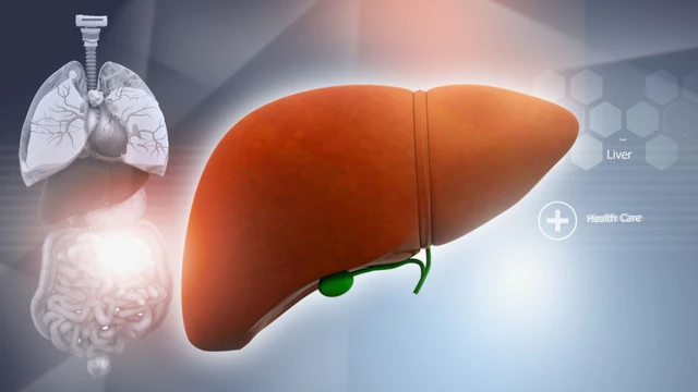 bai-viet/viem-gan-c-co-gay-ra-xo-gan-khong.html