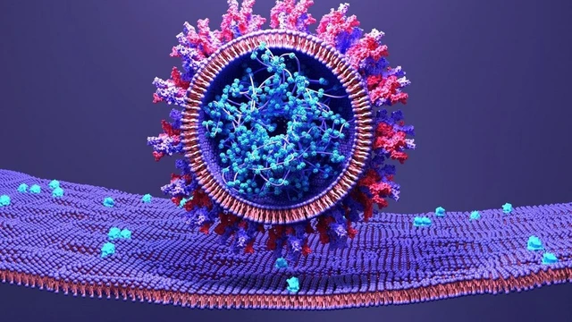 bai-viet/viem-phoi-cap-la-gi-dieu-tri-the-nao-54438.html