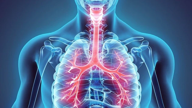 bai-viet/viem-tieu-phe-quan-tac-nghen-nguyen-nhan-trieu-chung-va-cach-dieu-tri.html