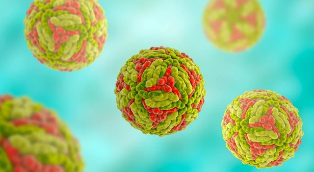 bai-viet/nhung-dieu-can-biet-ve-virus-jev-gay-viem-nao-nhat-ban-o-tre-nho.html