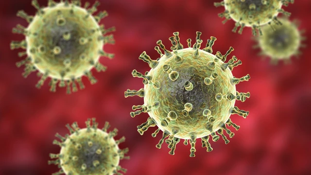 bai-viet/virus-nao-gay-benh-thuy-dau-benh-thuy-dau-co-nguy-hiem-khong.html