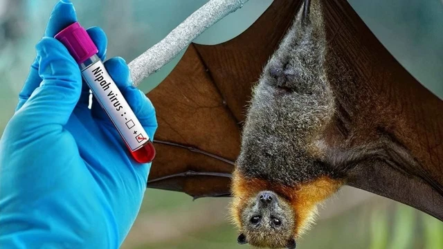 bai-viet/virus-nguy-hiem-nhat-la-gi-nhung-loai-virus-co-ty-le-tu-vong-cao.html