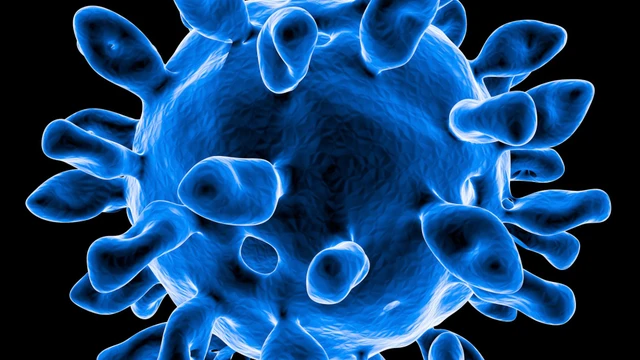 bai-viet/nhom-virus-tay-chan-mieng-la-nhung-virus-nao.html