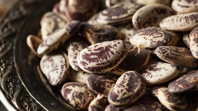 bai-viet/vo-dau-ngu-an-duoc-khong-cong-dung-cua-dau-ngu-voi-suc-khoe.html