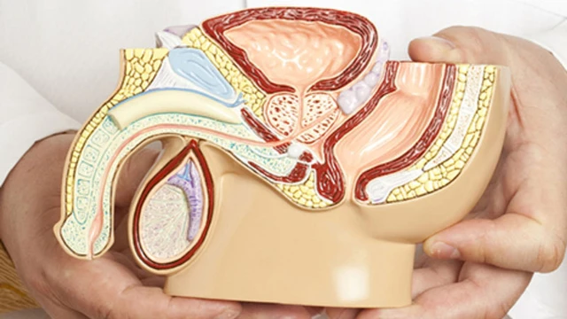 bai-viet/not-voi-hoa-tien-liet-tuyen-7mm-co-nguy-hiem-khong.html