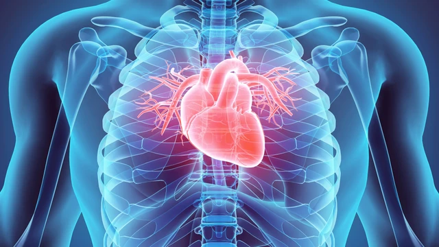 bai-viet/xa-hinh-tuoi-mau-co-tim-la-gi-nhung-luu-y-can-biet-khi-chup-xa-hinh-tuoi-mau-co-tim.html