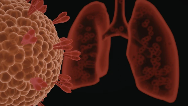 bai-viet/xet-nghiem-dot-bien-gen-egfr-ung-thu-phoi-la-gi.html