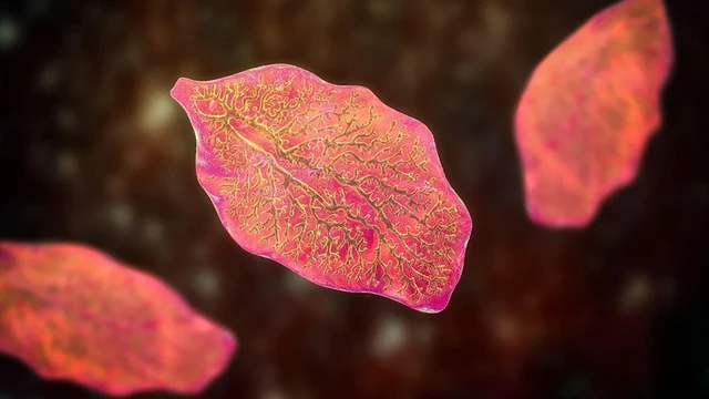 bai-viet/xet-nghiem-san-la-gan-va-nhung-dieu-ban-can-biet.html