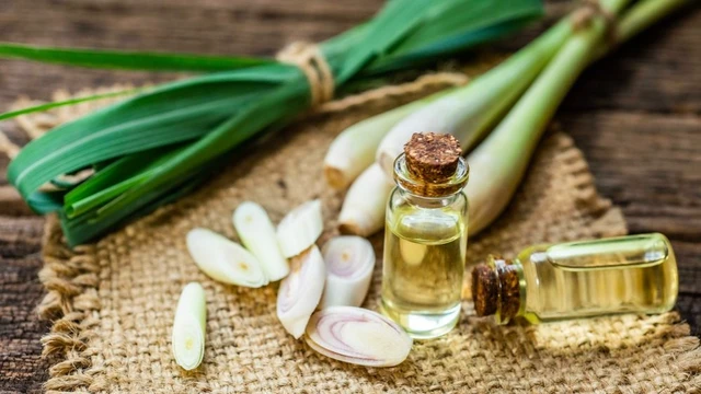 bai-viet/xong-tinh-dau-sa-co-tac-dung-gi-voi-suc-khoe-72870.html