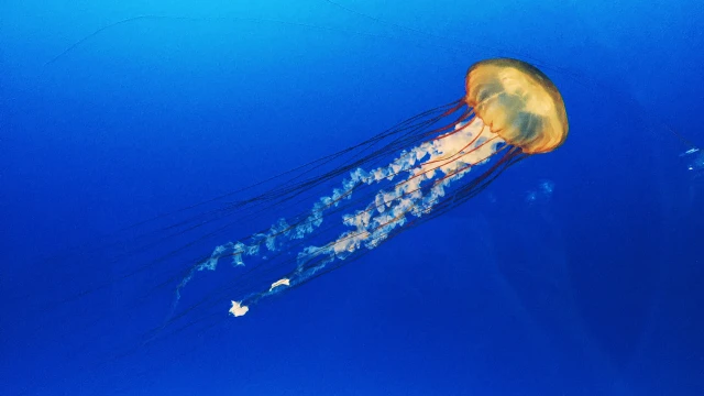 bai-viet/xu-ly-khi-bi-sua-can-nhu-the-nao-61108.html