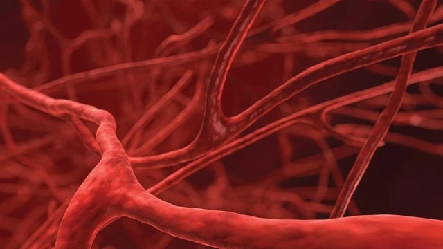 bai-viet/xuat-huyet-noi-la-gi-trieu-chung-canh-bao-xuat-huyet-noi.html