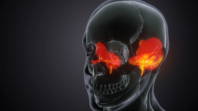 bai-viet/xuong-thai-duong-la-gi-chuc-nang-cua-xuong-thai-duong-doi-voi-suc-khoe.html