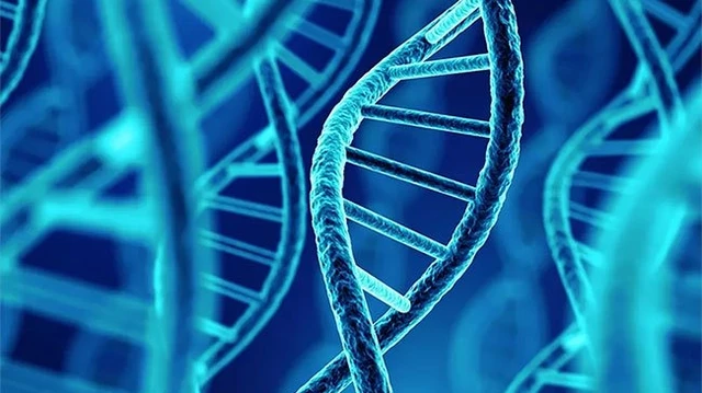 bai-viet/yeu-to-nguy-co-gay-ewing-sarcoma-o-tre-em-va-thanh-thieu-nien-63429.html