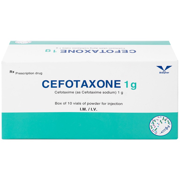 Bột pha tiêm Cefotaxone 1g Bidiphar điều trị các bệnh nhiễm khuẩn nặng (10 lọ)