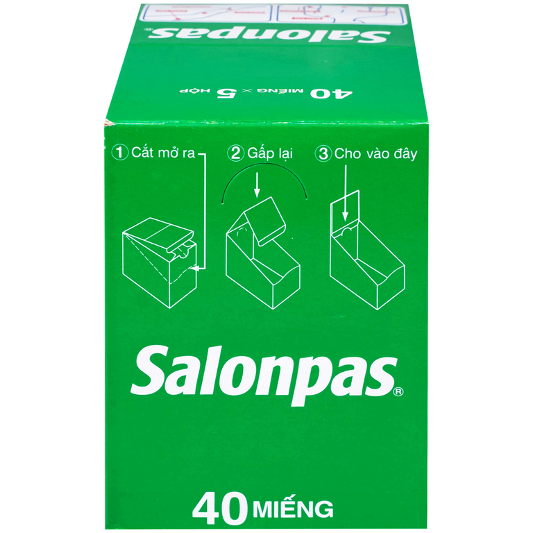 Thuốc Salonpas 6.5cm x 4.2cm Hisamitsu hỗ trợ giảm đau, kháng viêm (5 hộp x 4 gói)