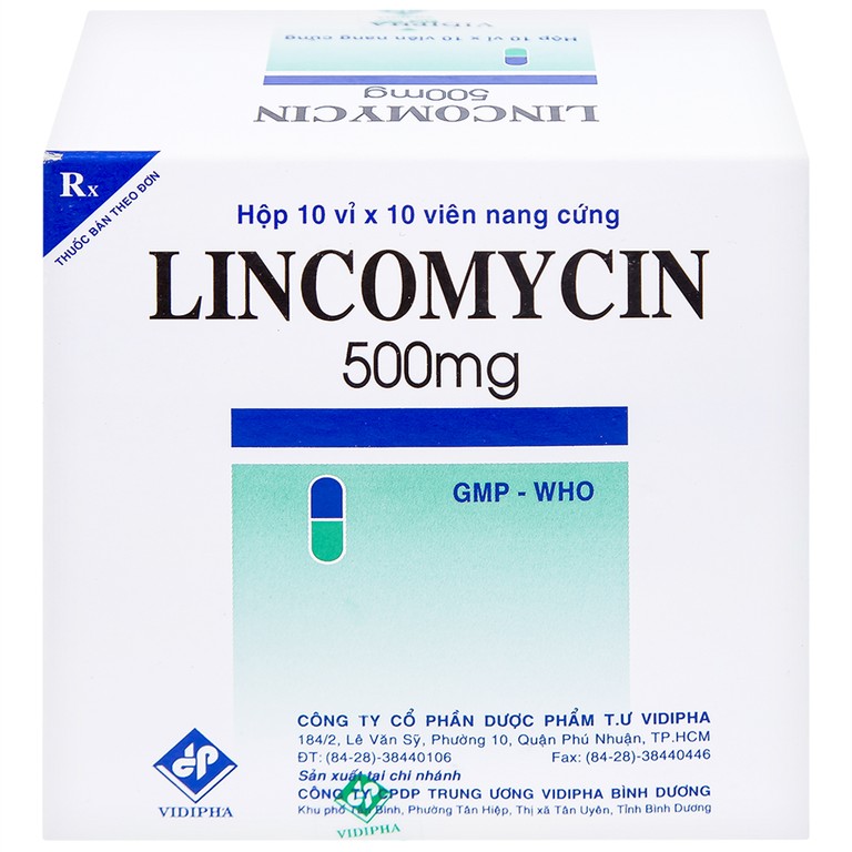 Thuốc Lincomycin 500mg Vidipha điều trị nhiễm khuẩn tai mũi họng, phế quản, phổi (10 vỉ x 10 viên)