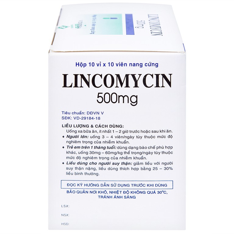 Thuốc Lincomycin 500mg Vidipha điều trị nhiễm khuẩn tai mũi họng, phế quản, phổi (10 vỉ x 10 viên)